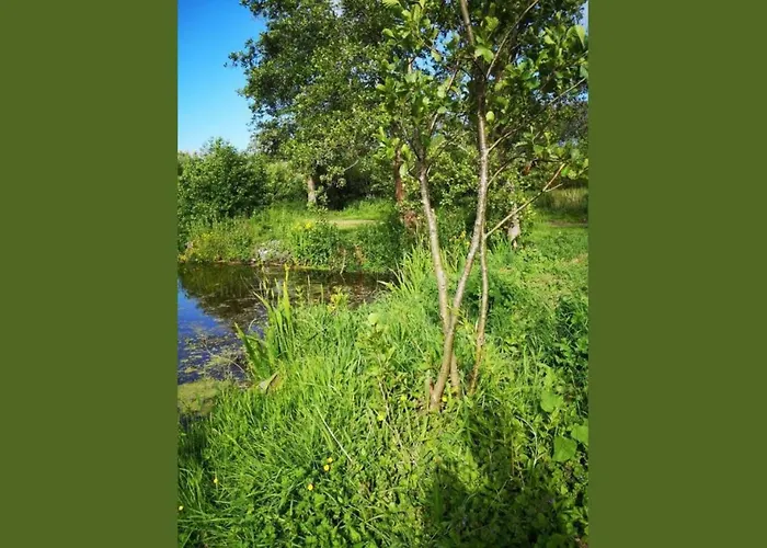 23 - Les Robinson Du - Peche Gratuite Sans Permis *